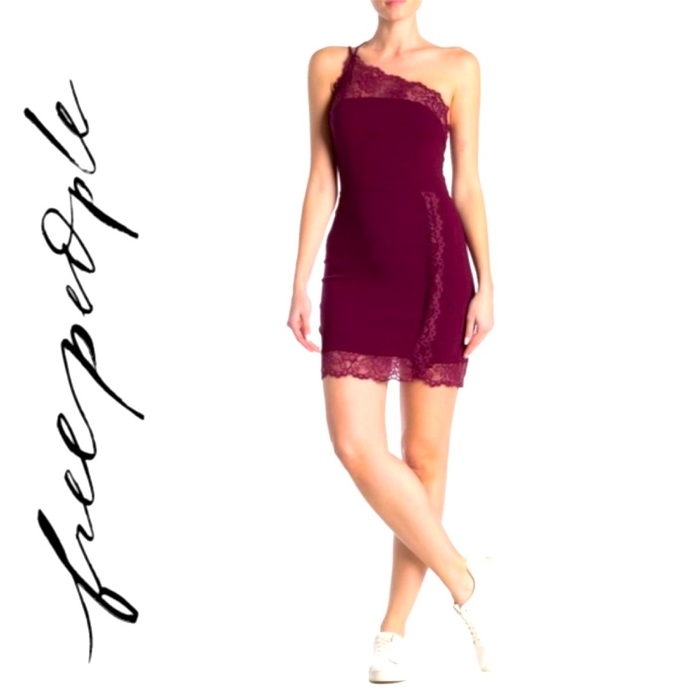Free People Premonitions Plum Lace Dress